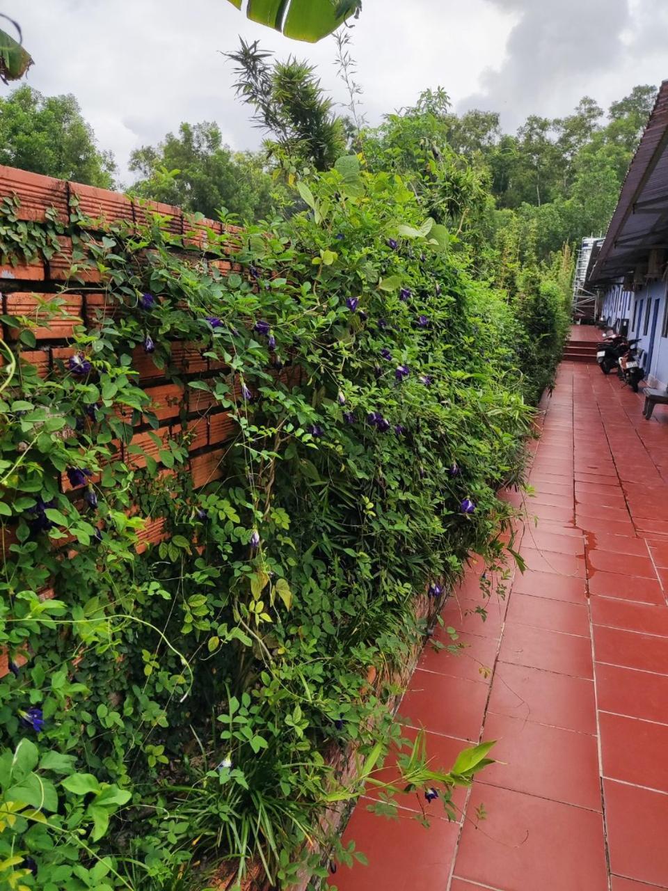 Lavender Garden Phu Quoc Hotell Exteriör bild