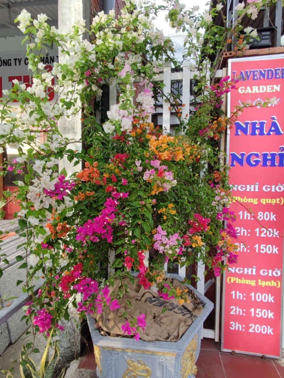 Lavender Garden Phu Quoc Hotell Exteriör bild